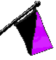 An anarcha-feminist flag